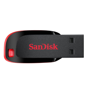 SanDisk Cruzer Blade 32GB USB Flash Drive